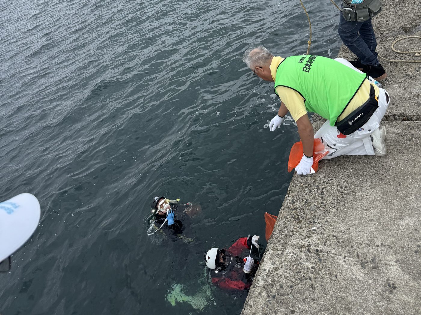海中のダイバーから堤防の上でゴミを受け取るスタッフ